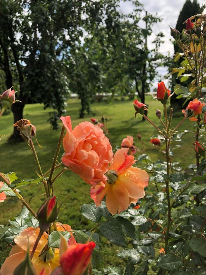 Wohlfuehlhotel Sonnengarten Uberlingen Exteriér fotografie